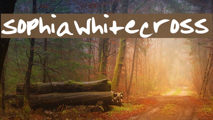 SophiaWhitecross Example 1