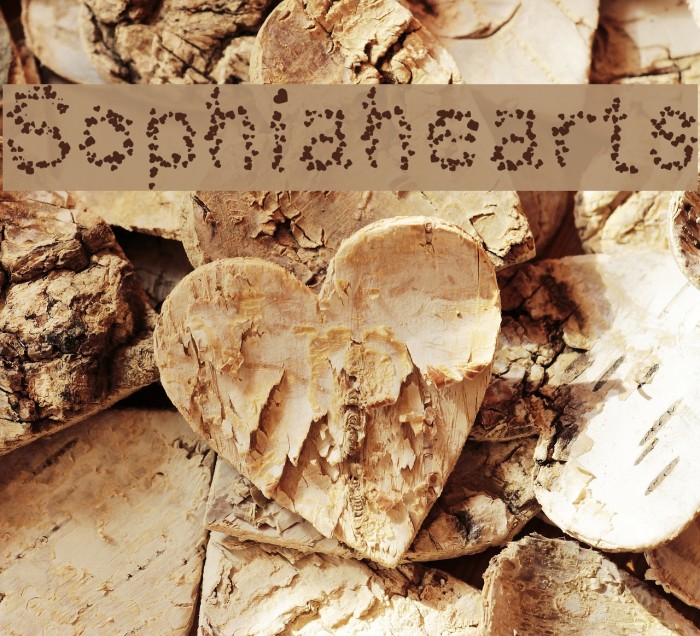 Sophiahearts Example 1