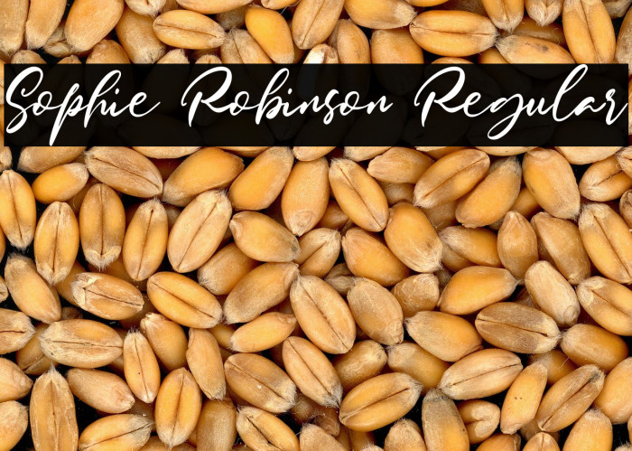 Sophie Robinson Regular Example 2