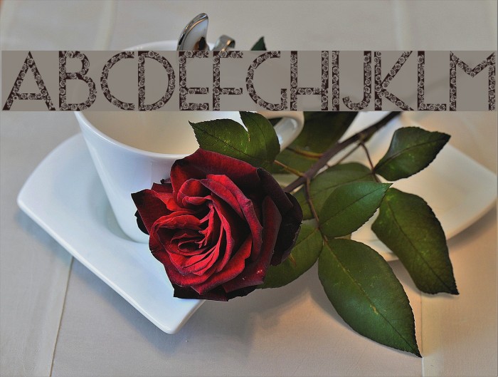 Sophie Scholl Font examples