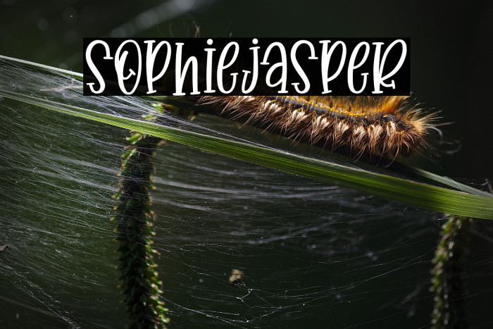 SophieJasper Example 2