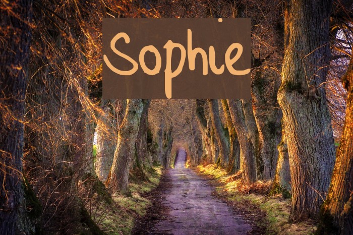 Sophie Font examples