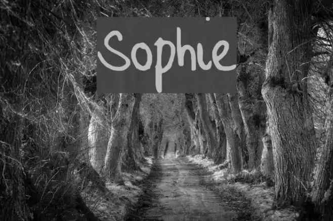 Sophie Font examples