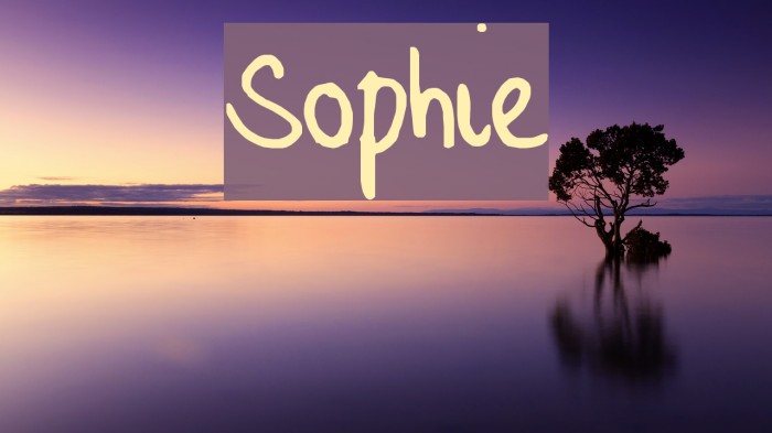 Sophie Font examples