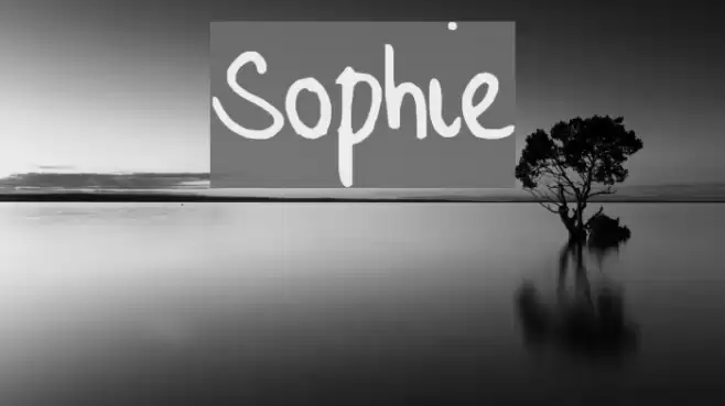 Sophie Font examples