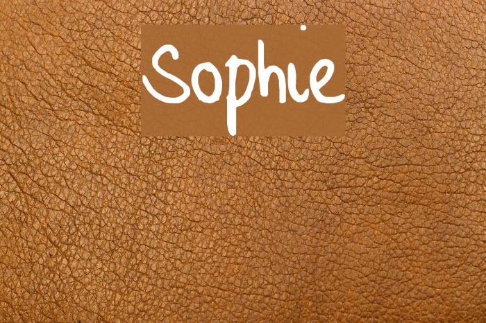 Sophie Font examples