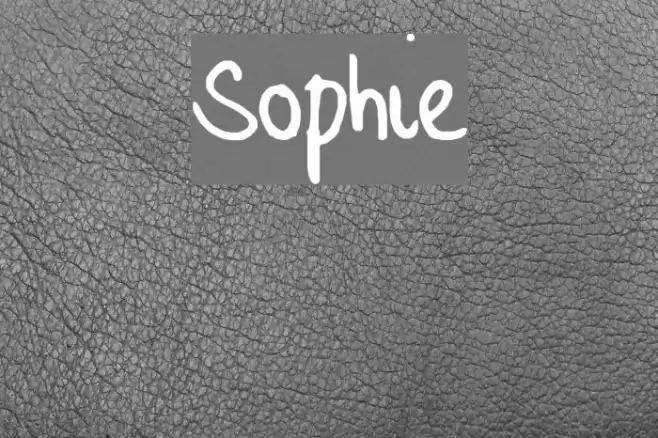 Sophie Font examples