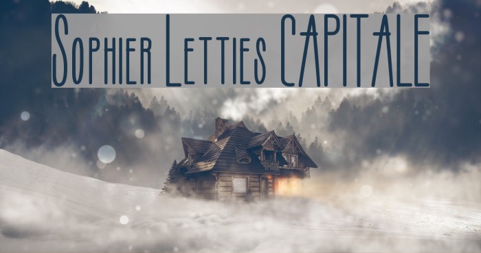 Sophier Letties CAPITALE Example 1