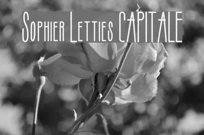 Sophier Letties CAPITALE Font examples