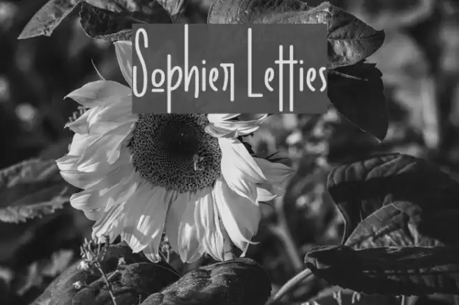 Sophier Letties Font examples