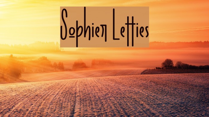 Sophier Letties Example 2