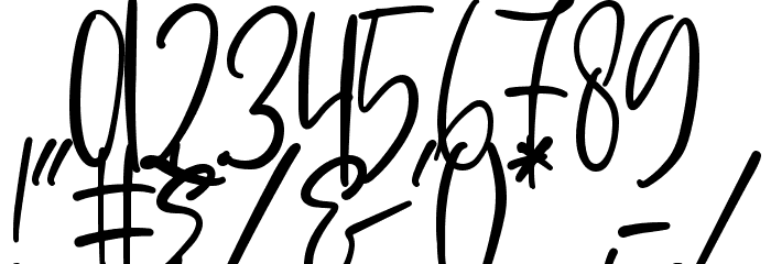 Sophisticated Signature Font OTHER CHARS