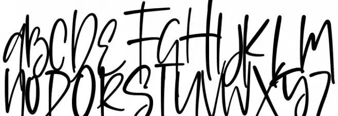 Sophisticated Signature Font Litere mari