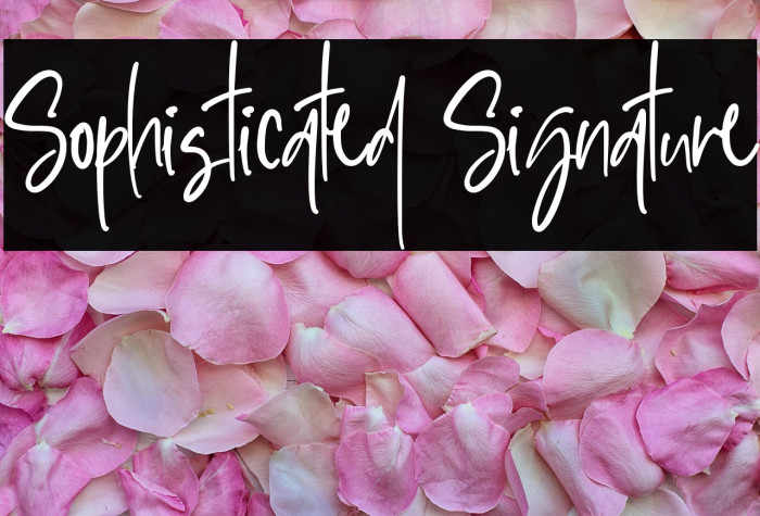 Sophisticated Signature Example 1