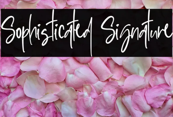 Sophisticated Signature Example 1