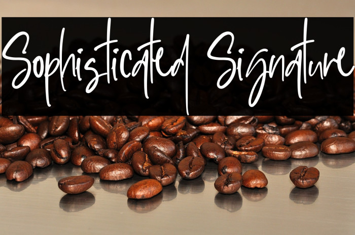 Sophisticated Signature Example 2