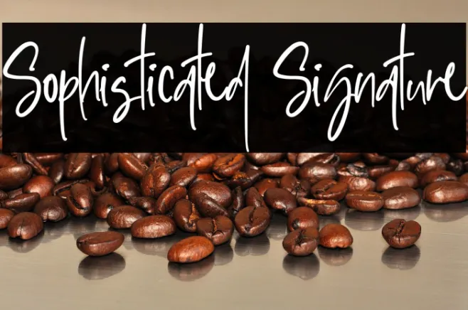 Sophisticated Signature Example 2