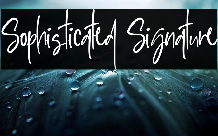 Sophisticated Signature Example 3