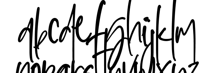Sophisticated Signature Font LOWERCASE