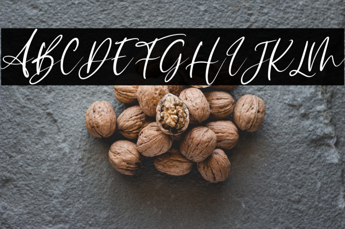 Sophitta Italic Example 1