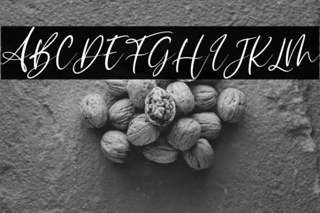 Sophitta Italic Font examples