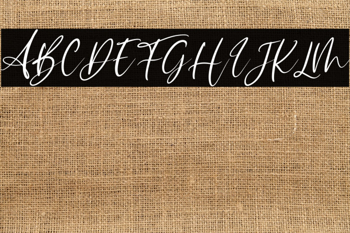 Sophitta Italic Example 2