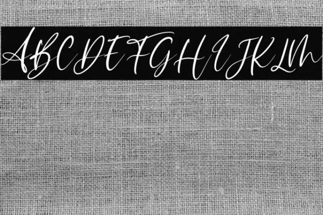 Sophitta Italic Font examples