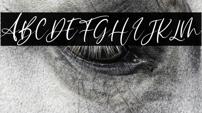 Sophitta Italic Example 3