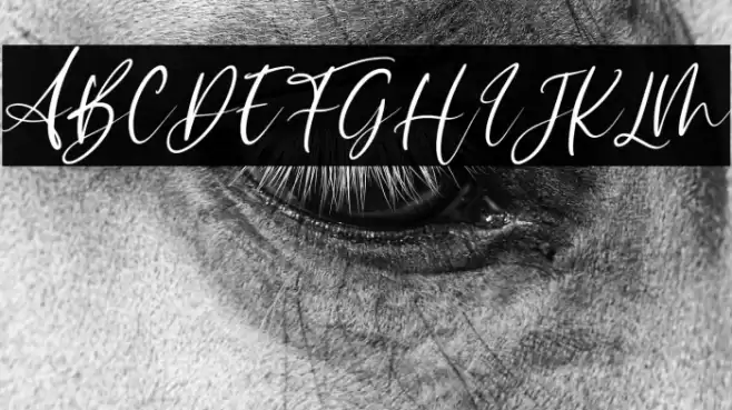 Sophitta Italic Font examples