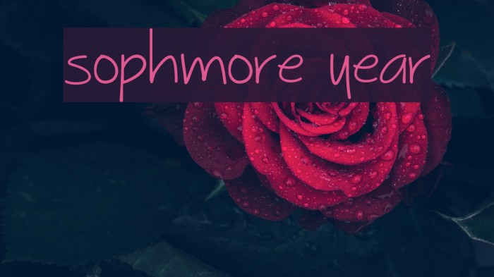 Sophmore Year Font examples
