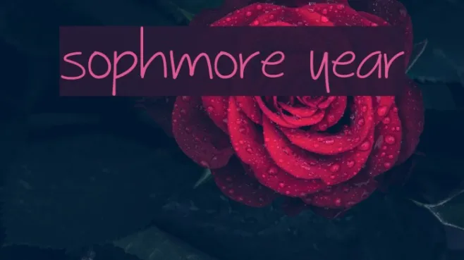 Sophmore Year Example 2
