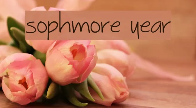Sophmore Year Example 3