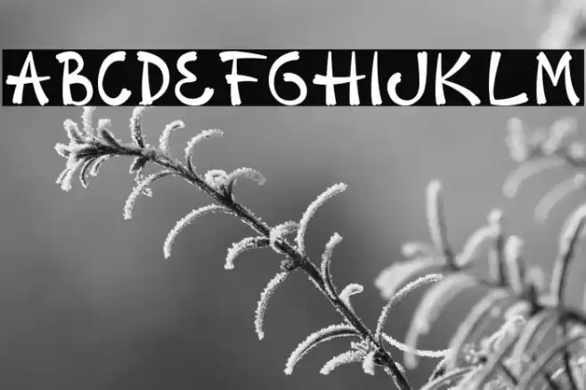 Sophomore Caratteri examples