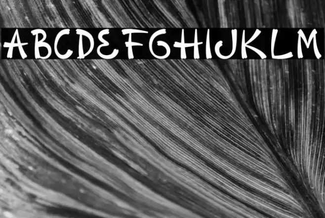 Sophomore Caratteri examples