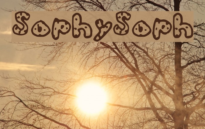 SophySoph Fonte examples