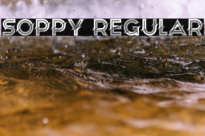 Soppy Regular Example 1