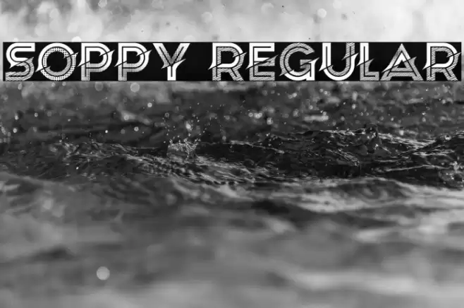 Soppy Regular Font examples