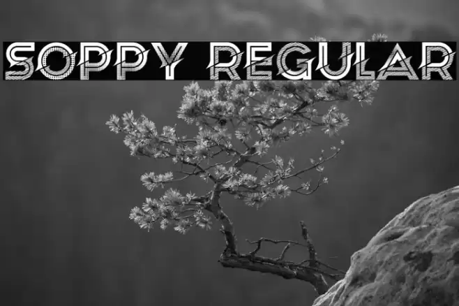 Soppy Regular Font examples