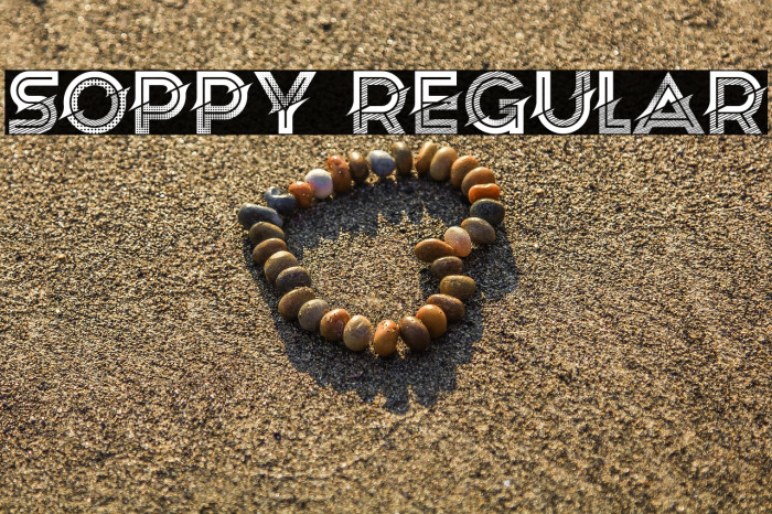 Soppy Regular Example 3