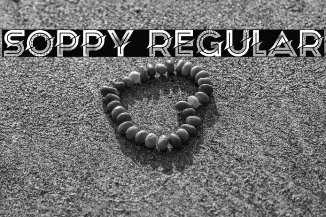 Soppy Regular Font examples