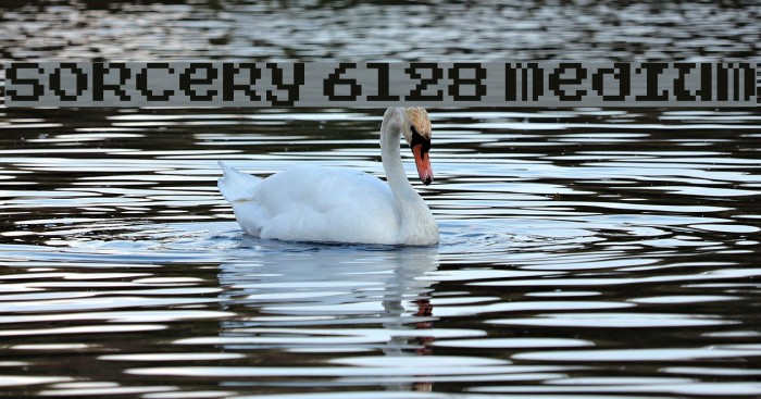 Sorcery 6128 Medium Example 1