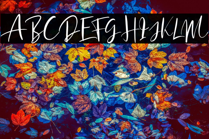 SoredimeDEMO Example 1