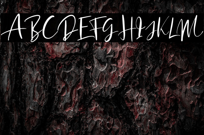 SoredimeDEMO Example 2