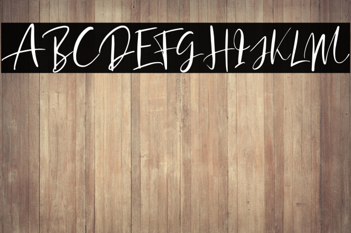 SoredimeDEMO Example 3