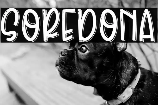 Soredona Font examples