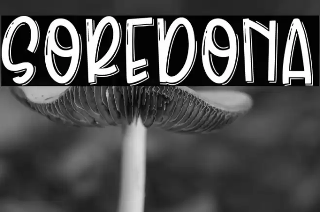 Soredona Font examples