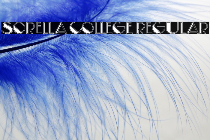 Sorella College Regular Example 2