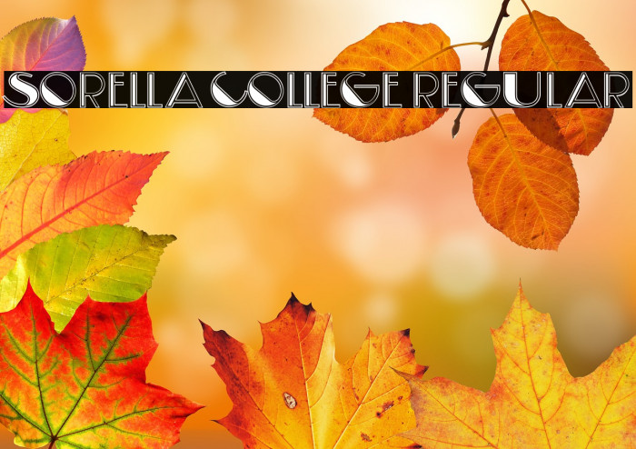 Sorella College Regular Example 3