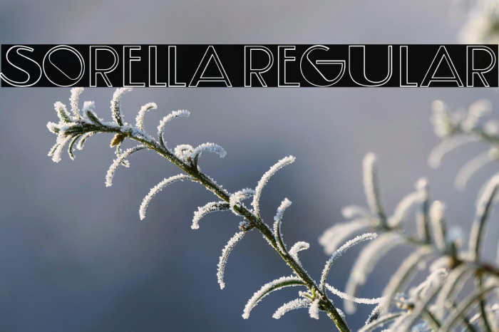 Sorella Regular Example 2