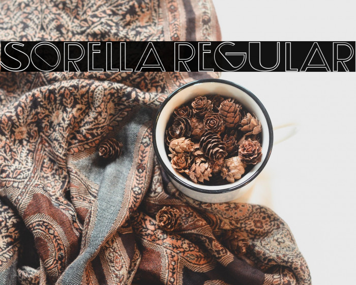 Sorella Regular Example 3